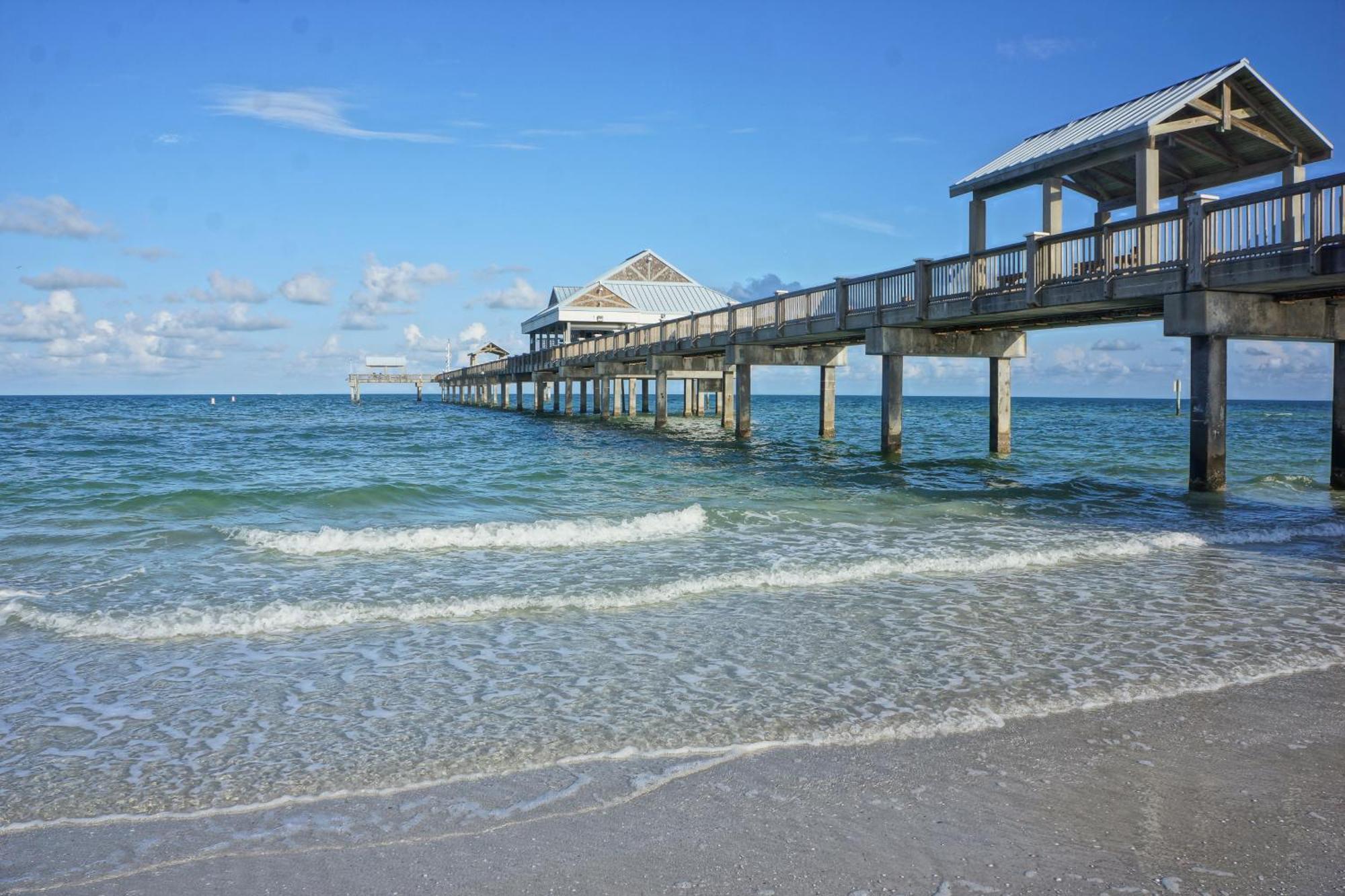 Tropical Paradise Clearwater Beach Pokój zdjęcie