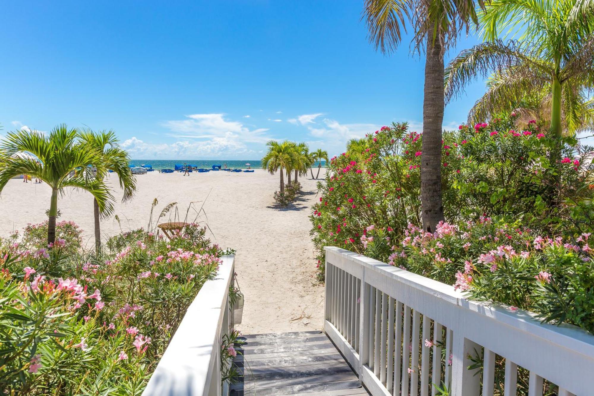Tropical Paradise Clearwater Beach Pokój zdjęcie